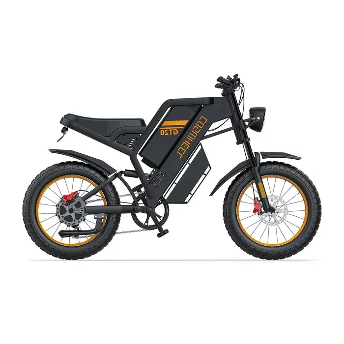 Coswheel GT20 All-Terrain Adventure