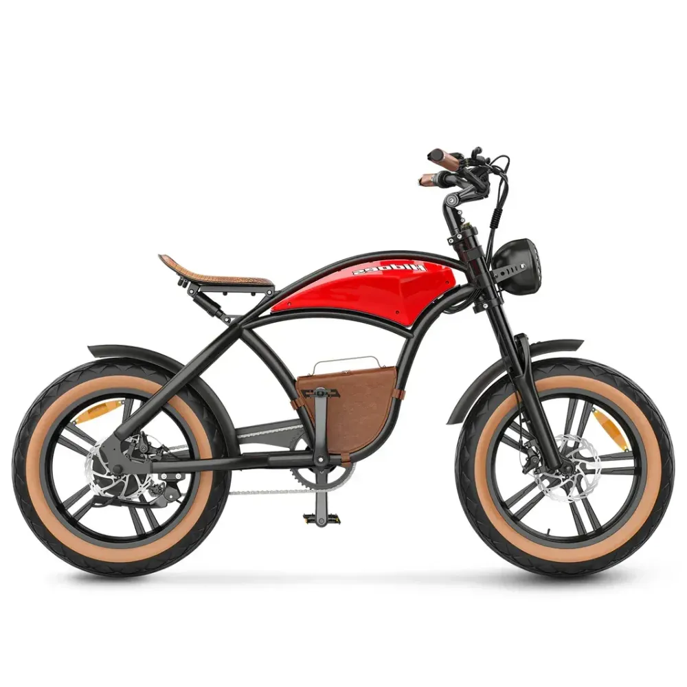 Hidoes B10 Electric Fat Tyre Bike