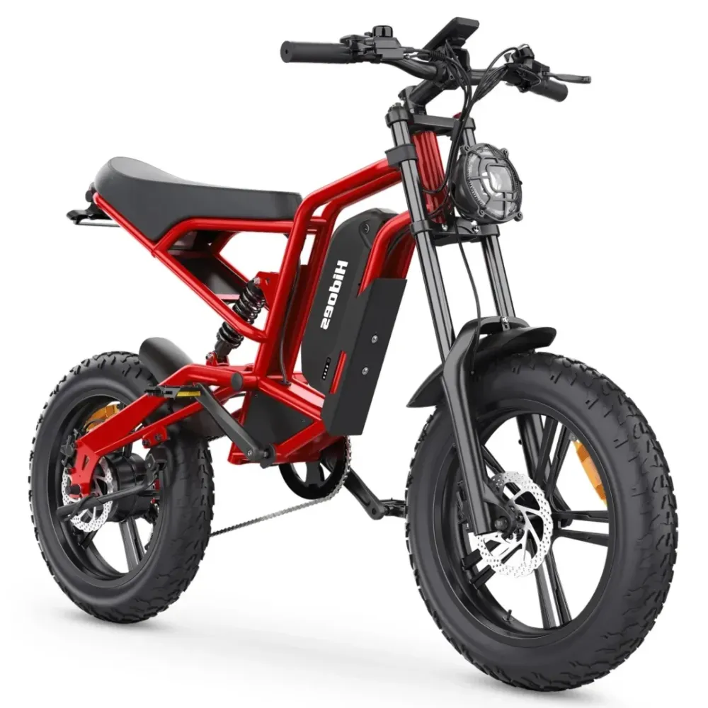 Hidoes B6 Electric Bike with 1200W Motor