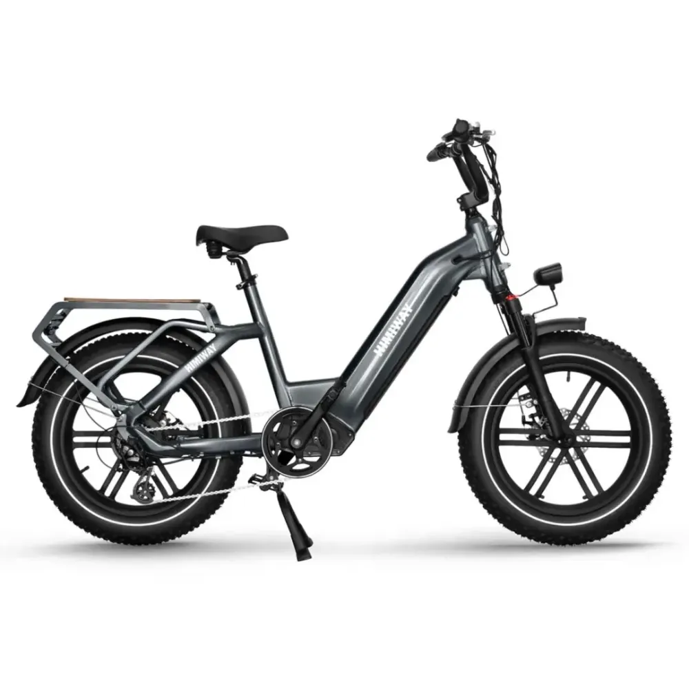 Himiway BIG DOG Electric Cargo Bike