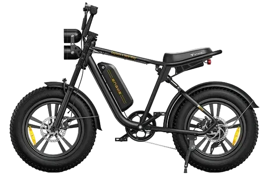 ENGWE M20 Fat Tyre Electric Bike