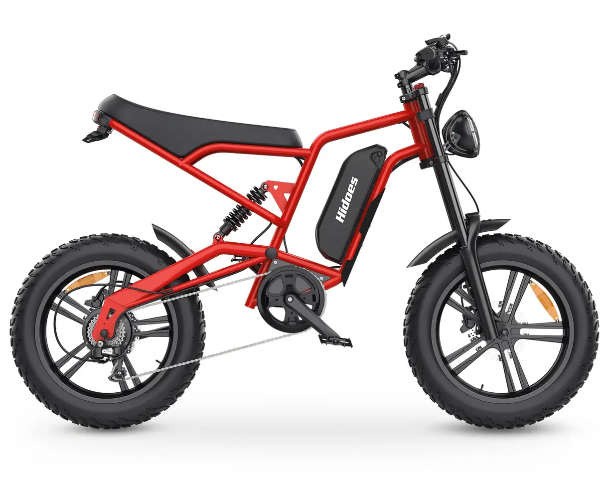 Hidoes B6 Fat Tyre Electric Bike